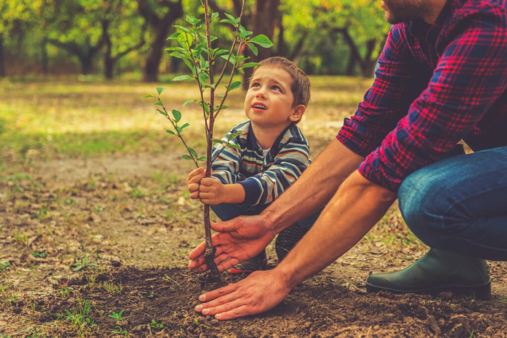 Curious little boy helping his father to plant the tree while working together in the garden