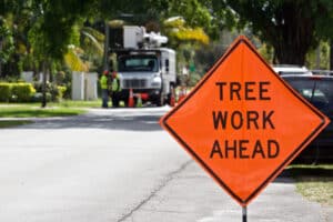 Orange information sign with black letters displayed in front of tree maintenance workers and truck. Truck and workers intentionally blurred in background