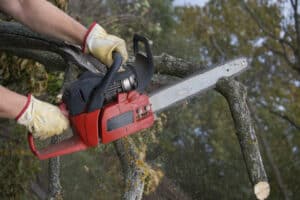 person uses chainsaw to cut logs