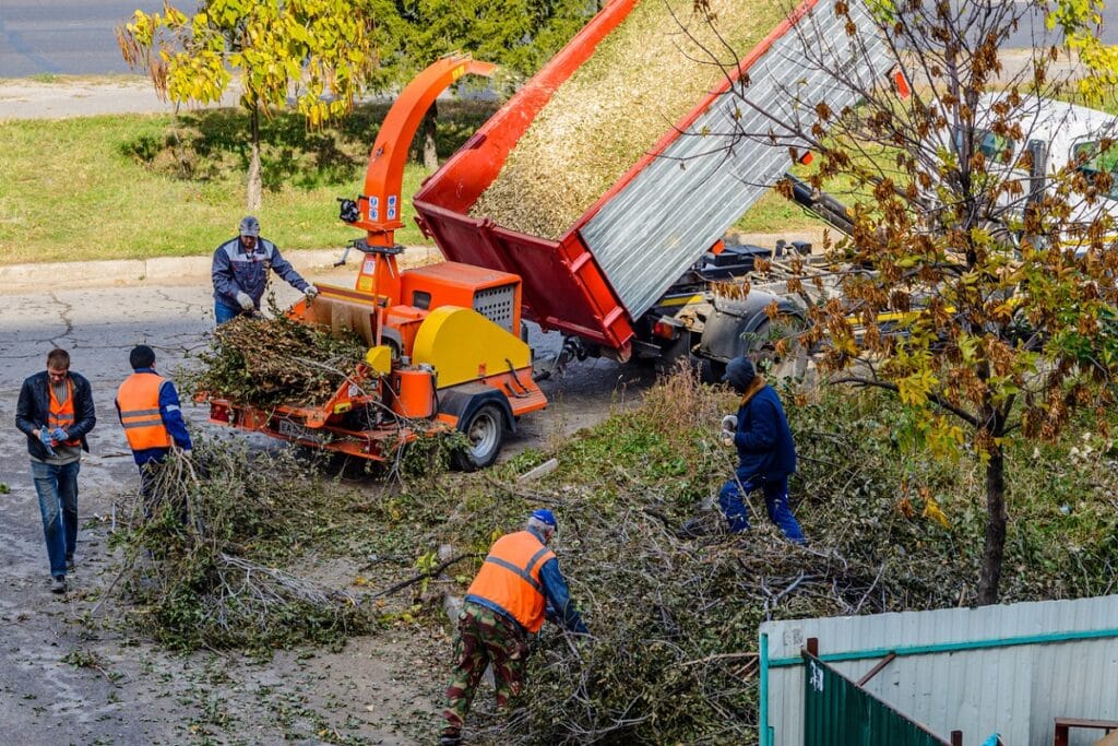 Workers clear freshly cut branches