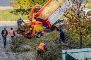 Workers clear freshly cut branches